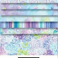 ttCP10SQ42-CD DREAM